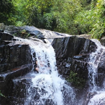ao gioi  ?? suoi tien