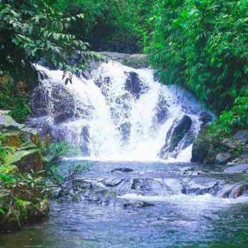 ao gioi  ?? suoi tien