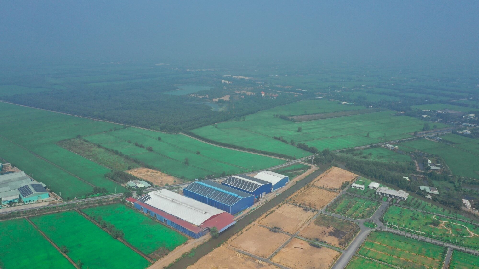 cong ty tnhh mtv golden paddy