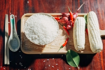 gao thom 5  tam  om 5451